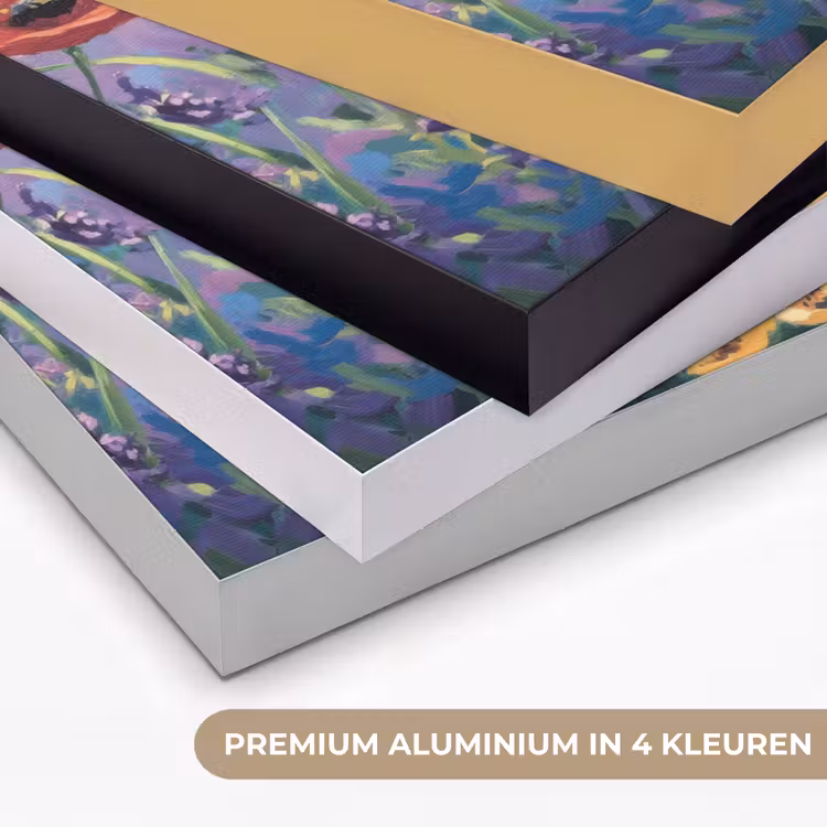Weide - Bloemen - Kleurrijk Textielframe zwart klein -USP_kleurenNL