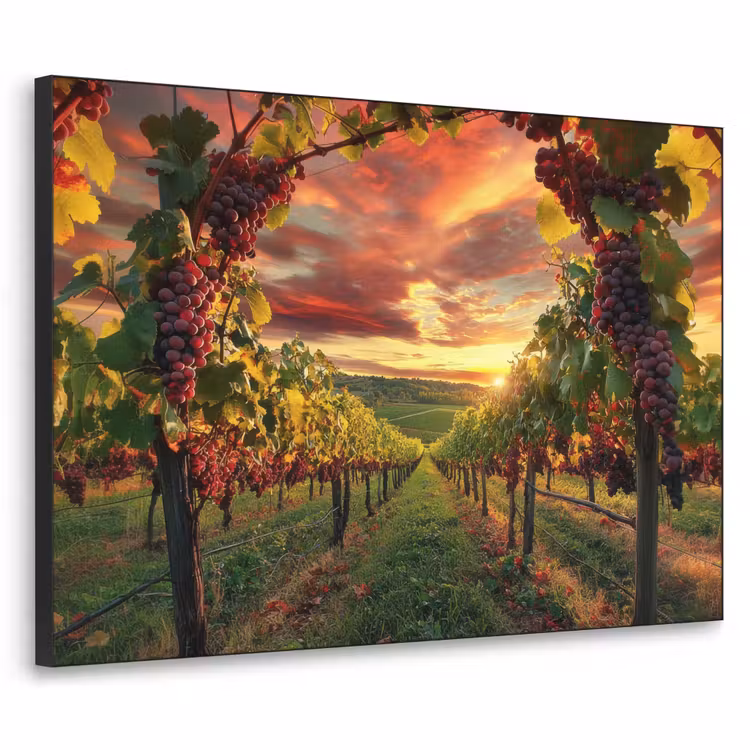 Wijngaard - Druiven - Zonsondergang Textielframe zwart klein -3d