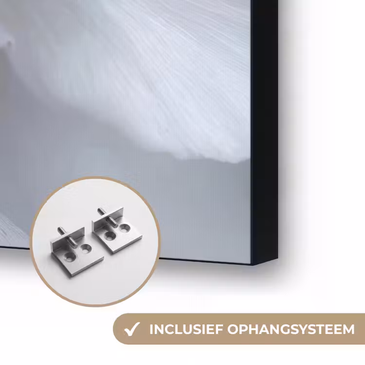 Wit - Bloem - Elegant Textielframe zwart klein -USP_ophangsysteemNL