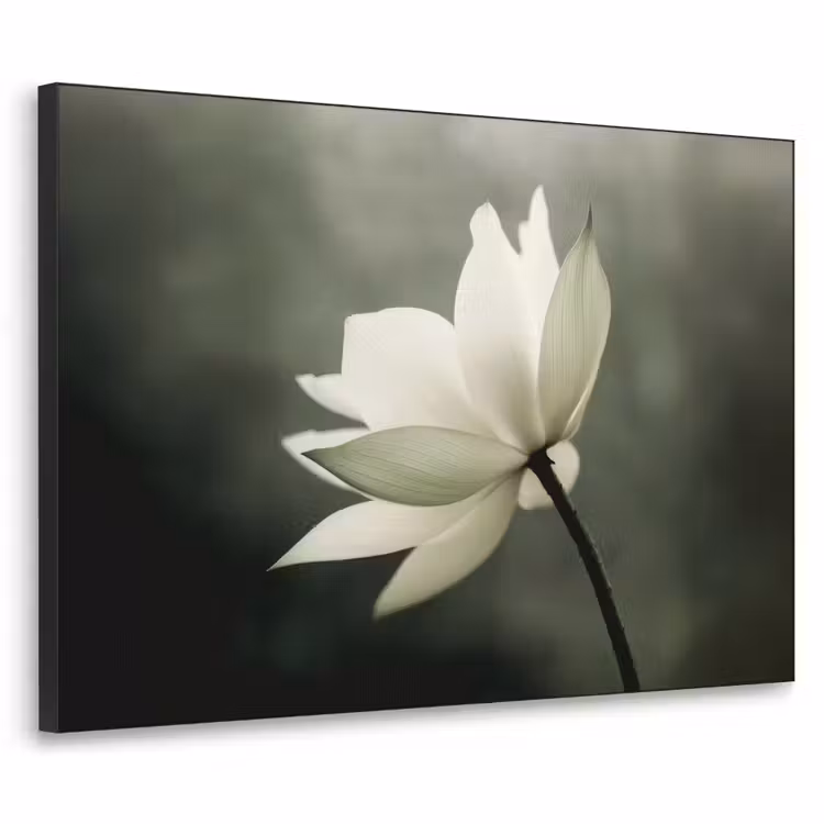 Wit - Lotus - Donker - Bloem Textielframe zwart klein -3d