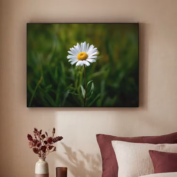 Wit - Madeliefje - Bloem - Gras Textielframe - compleet frame klein -sfeer1