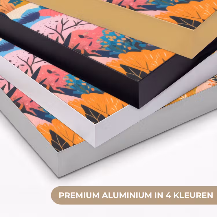 Witte bergtop - Modern - Kleurrijk Textielframe zwart klein -USP_kleurenNL