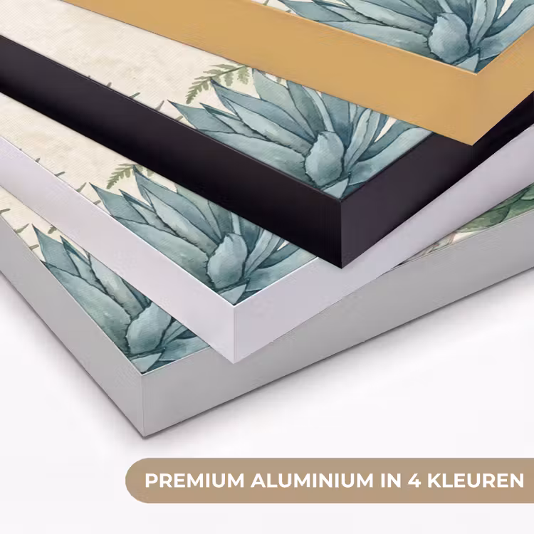 Woestijn - Planten - Groen Textielframe zwart klein -USP_kleurenNL