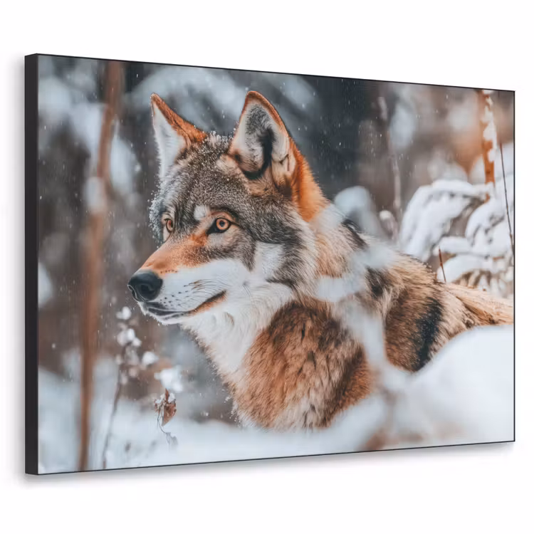 Wolf - Sneeuw - Winter - Dieren - Natuur - Sneeuw Textielframe zwart klein -3d