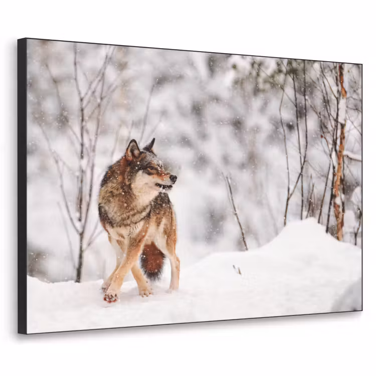 Wolf - Winter - Sneeuw - Natuur - Dieren Textielframe - compleet frame klein -3d