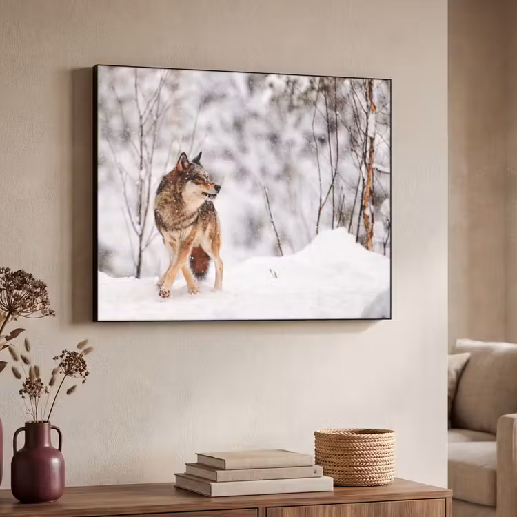 Wolf - Winter - Sneeuw - Natuur - Dieren Textielframe zwart klein -sfeer3