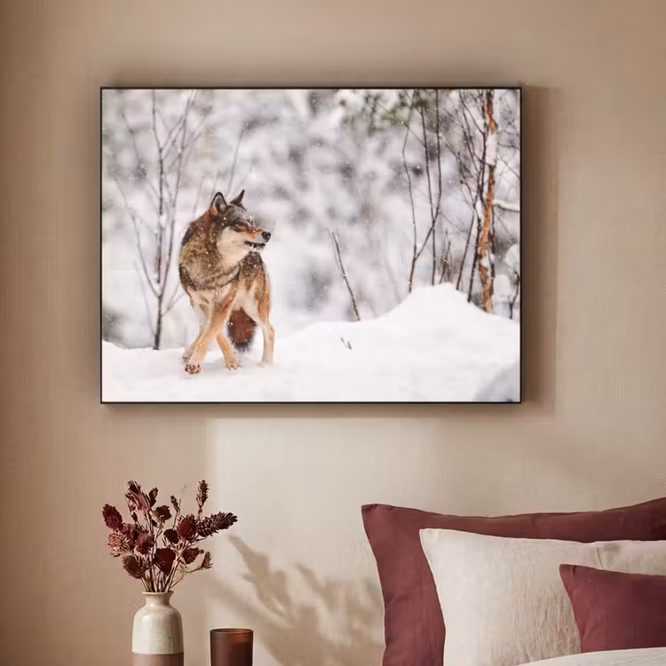 Wolf - Winter - Sneeuw - Natuur - Dieren Textielframe zwart klein -sfeer1