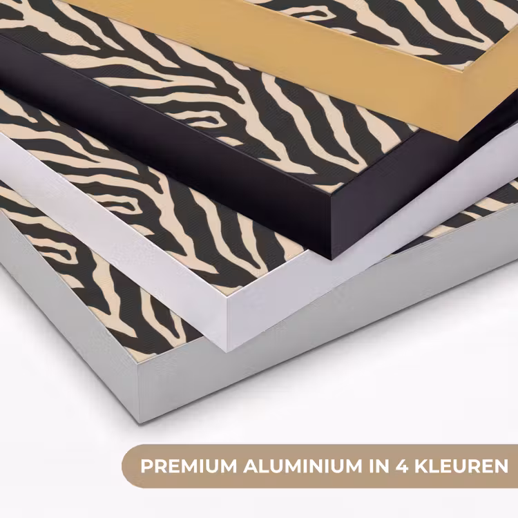Zebra - Klassiek - Zwart Textielframe zwart klein 947 -USP_kleurenNL
