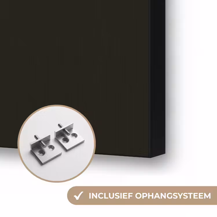 Zebra - Strepen - Goud Textielframe zwart klein -USP_ophangsysteemNL