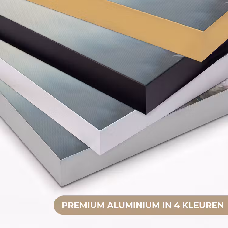 Zebra - Wilde dieren - Vlinder - Bloemen Textielframe zwart klein -USP_kleurenNL