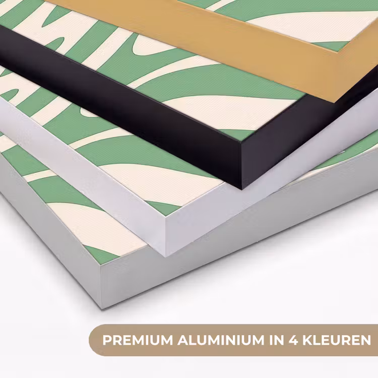 Zebrapatroon - Groen - Retro Textielframe zwart klein -USP_kleurenNL