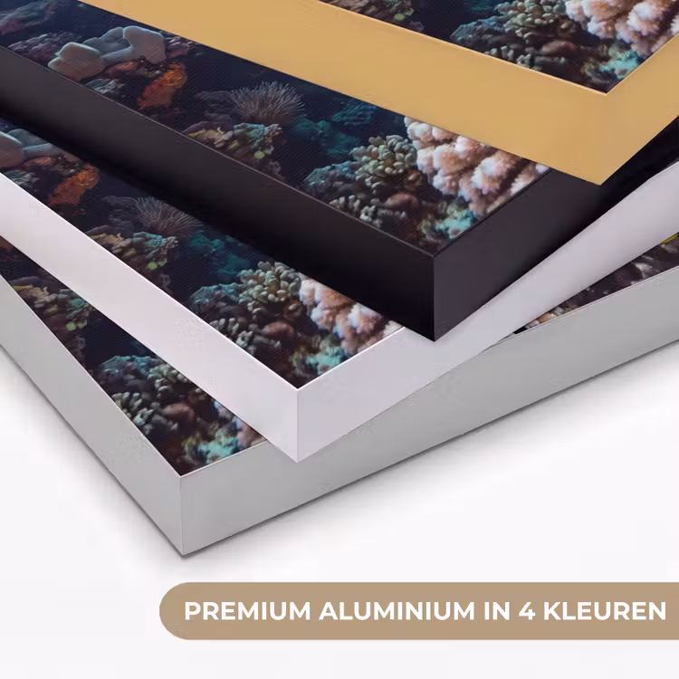 Zee - Koraalrif - Natuur - Levendig - Blauw Textielframe zwart klein -USP_kleurenNL