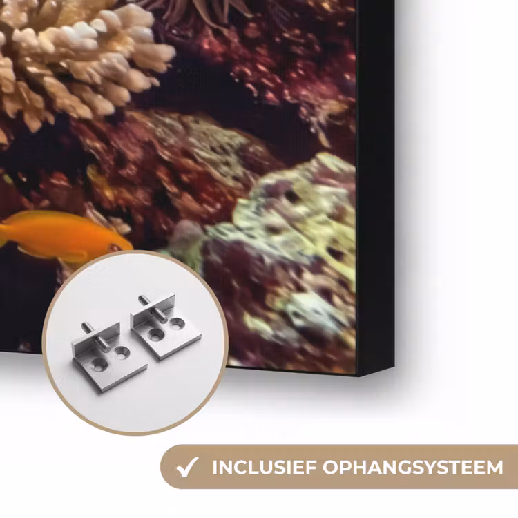 Zee - Koraalrif - Natuur - Levendig - Blauw Textielframe zwart klein -USP_ophangsysteemNL
