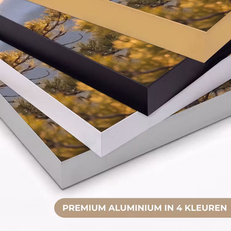 Zeearend - Boom - Bergen - Groen Textielframe zwart klein -USP_kleurenNL