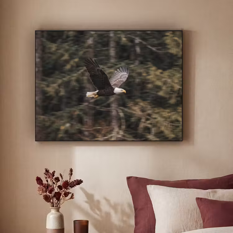 Zeearend - Vliegen - Bos - Natuur Textielframe zwart klein -sfeer1