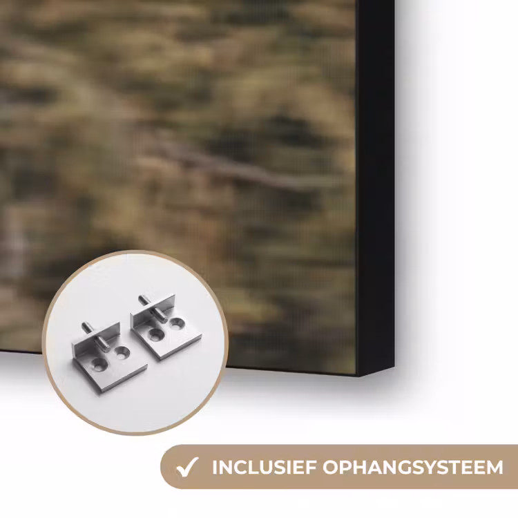 Zeearend - Vliegen - Bos - Natuur Textielframe zwart klein -USP_ophangsysteemNL