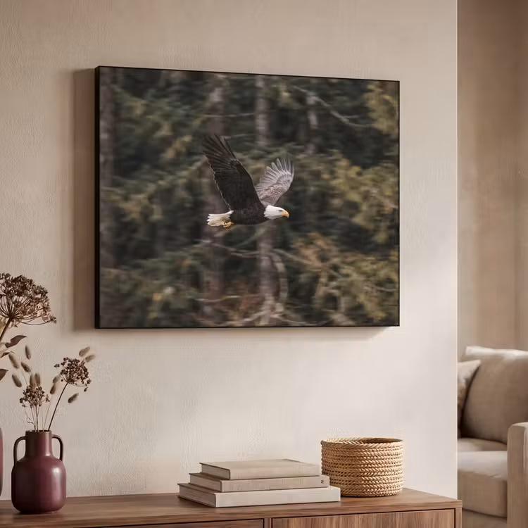Zeearend - Vliegen - Bos - Natuur Textielframe zwart klein -sfeer3
