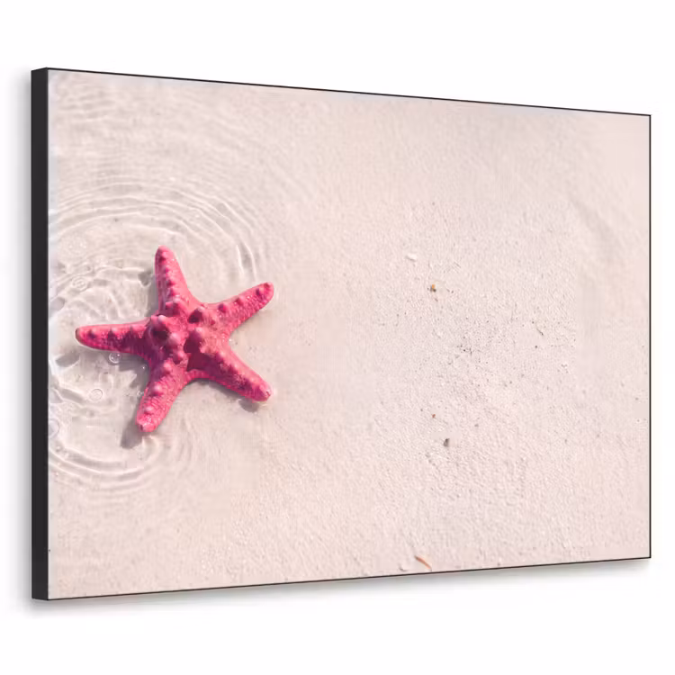 Zeeleven - Zeester - Strand - Roze - Water Textielframe zwart klein -3d