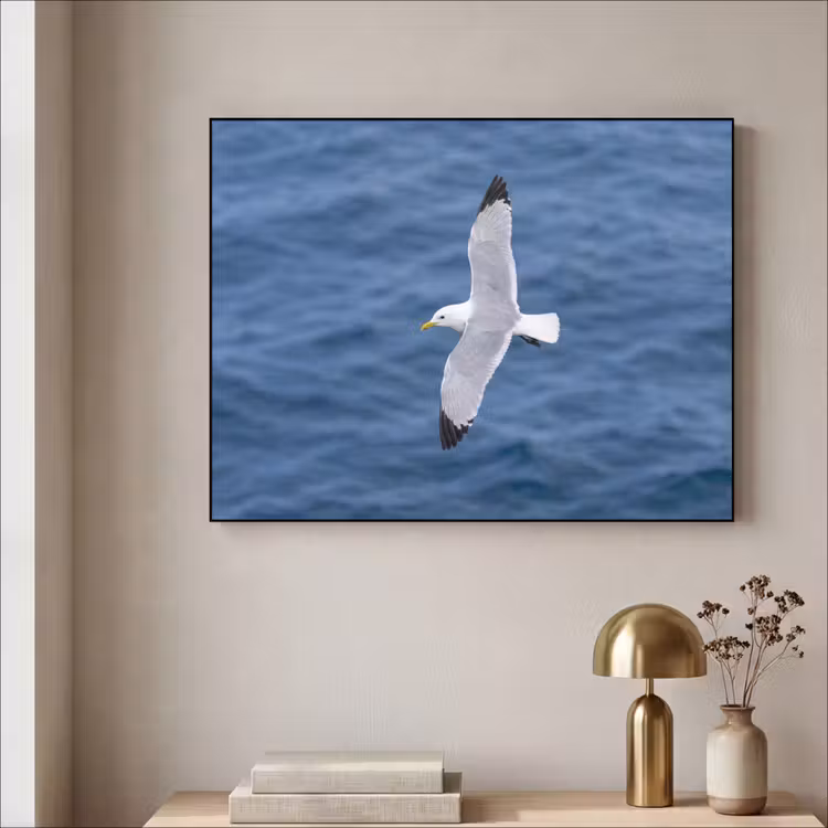 Zeemeeuw - Oceaan - Blauw Textielframe zwart klein -sfeer2