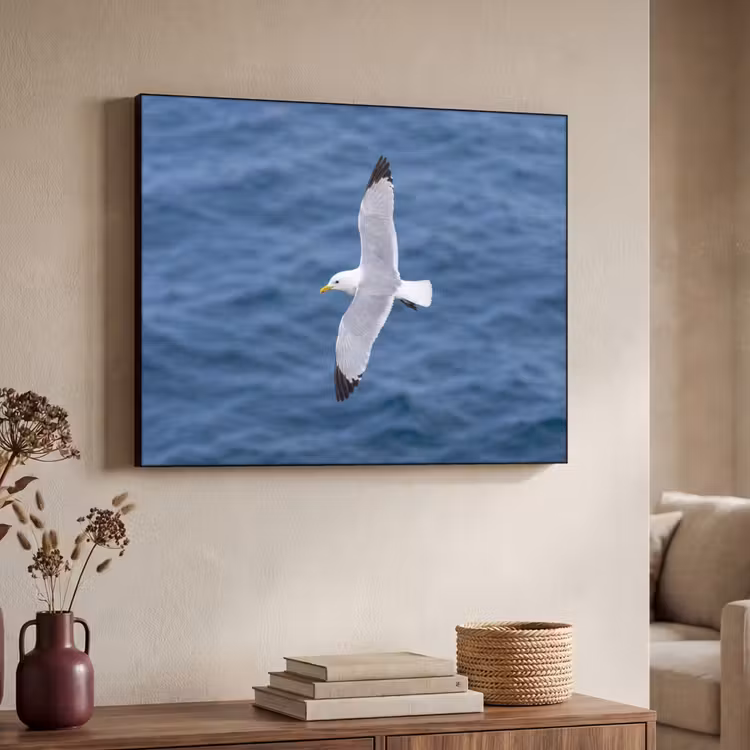 Zeemeeuw - Oceaan - Blauw Textielframe zwart klein -sfeer3