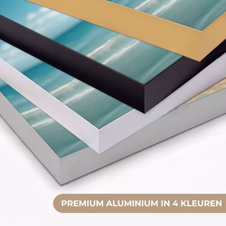 Zeewater - Hond - Golden retriever - Zonnebril Textielframe zwart klein -USP_kleurenNL