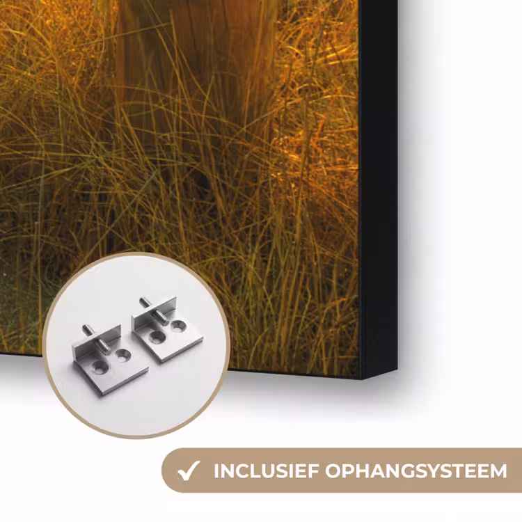 Zon - Strand - Duin - Horizon - Gras - Pad - Oranje Textielframe zwart klein -USP_ophangsysteemNL