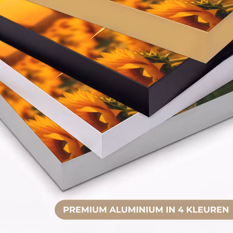 Zonnebloem - Bloemen - Geel - Bloemenveld met zonnebloemen Textielframe zwart klein -USP_kleurenNL
