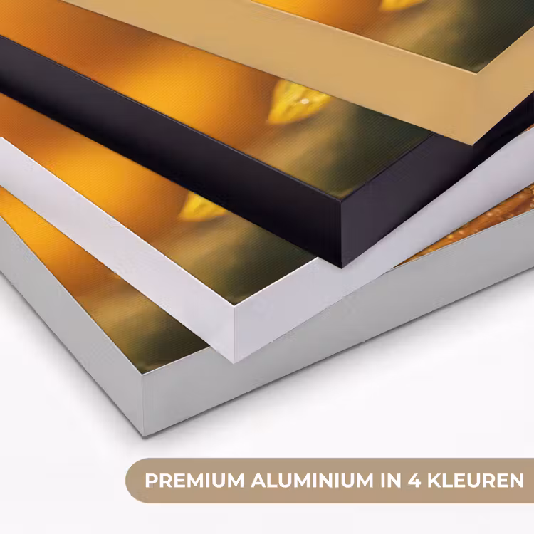 Zonnebloem - Dauwdruppels - Geel - Zonlicht Textielframe zwart klein -USP_kleurenNL