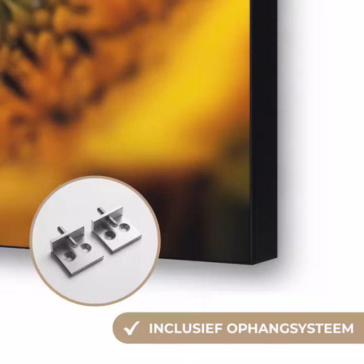 Zonnebloem - Dauwdruppels - Geel - Zonlicht Textielframe zwart klein -USP_ophangsysteemNL