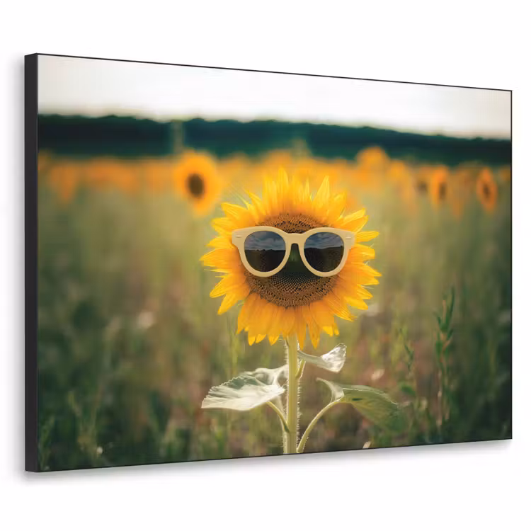 Zonnebloem - Veld - Zonnebril Textielframe zwart klein -3d