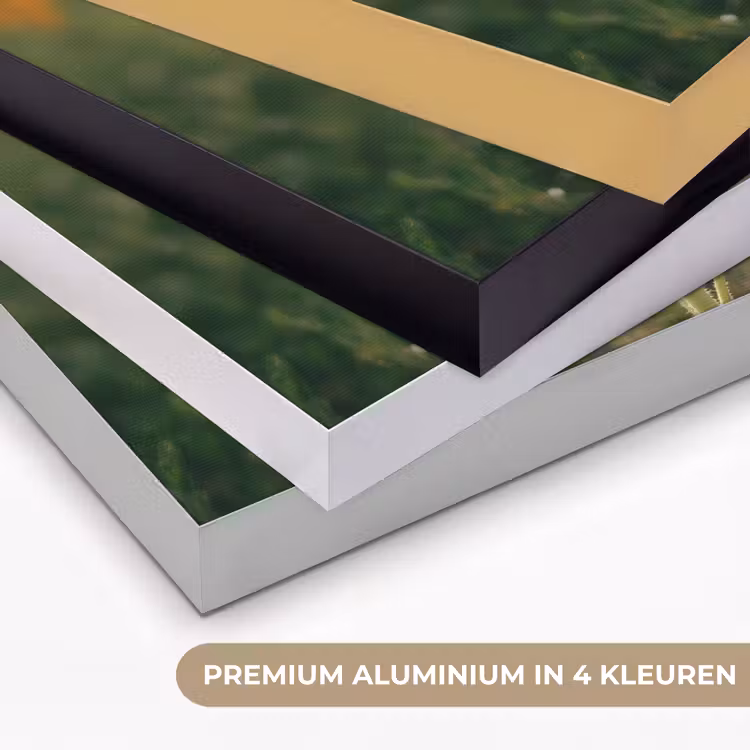 Zonnebloem - Veld - Zonnebril Textielframe zwart klein -USP_kleurenNL