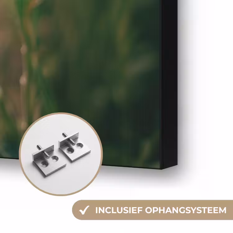 Zonnebloem - Veld - Zonnebril Textielframe zwart klein -USP_ophangsysteemNL