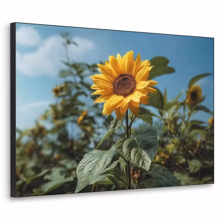Zonnebloemen - Helderblauwer lucht - Gras Textielframe zwart klein -3d