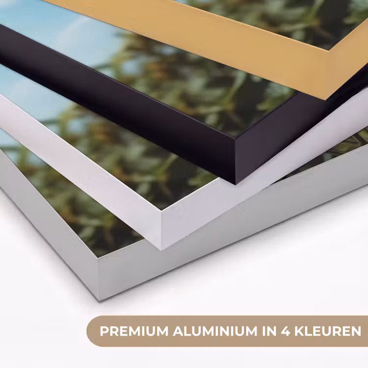 Zonnebloemen - Helderblauwer lucht - Gras Textielframe zwart klein -USP_kleurenNL