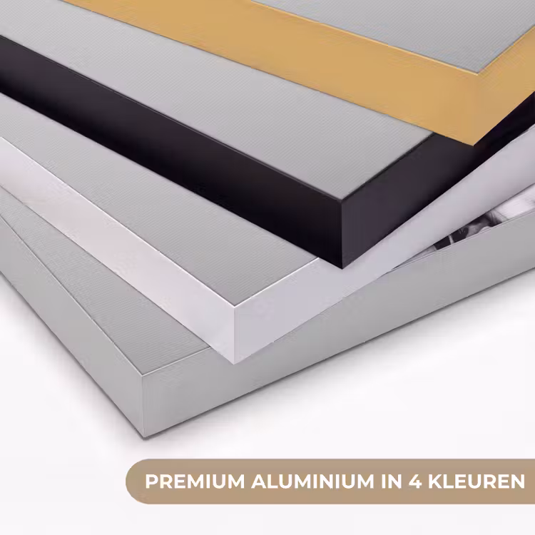 Zonnebril - Dalmatiër - Wijnglas - Tong Textielframe zwart klein -USP_kleurenNL