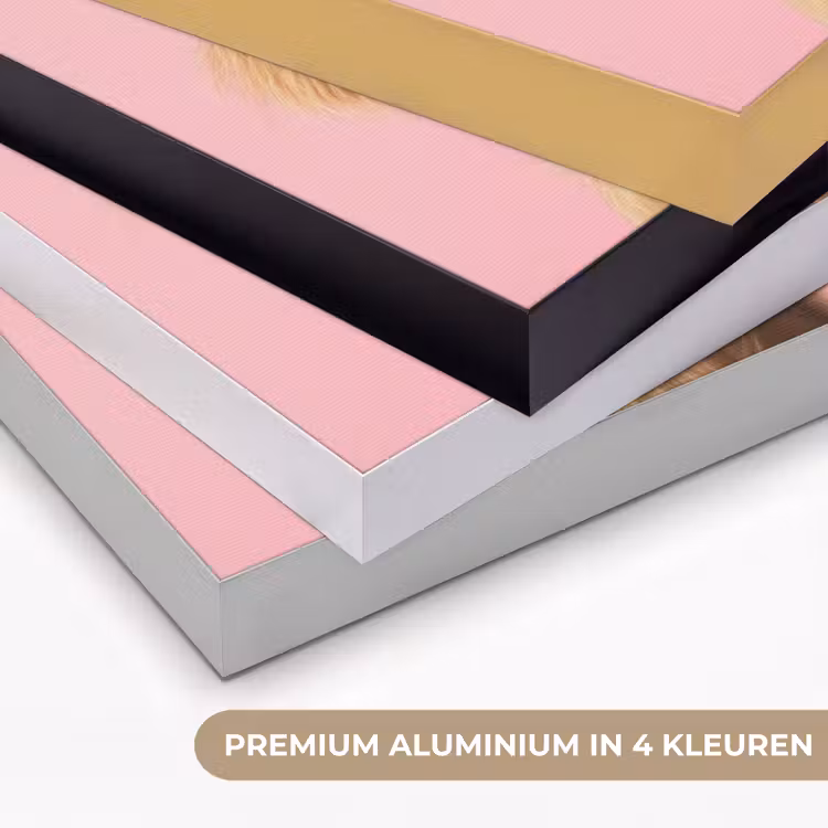 Zonnebril - Hartjes - Hond - Valentijn Textielframe zwart klein -USP_kleurenNL