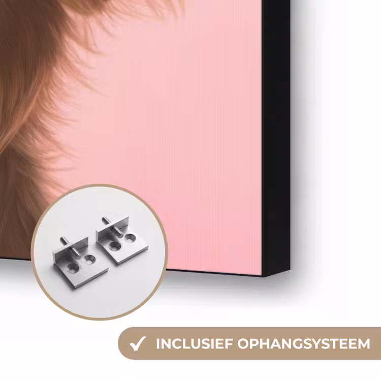 Zonnebril - Hartjes - Hond - Valentijn Textielframe zwart klein -USP_ophangsysteemNL