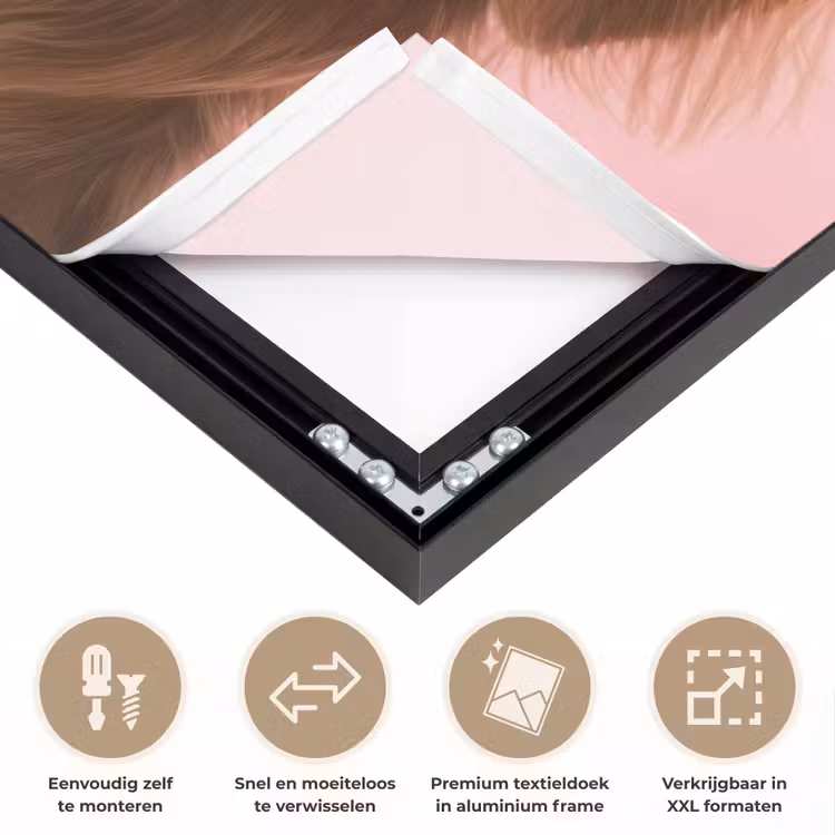 Zonnebril - Hartjes - Hond - Valentijn Textielframe zwart klein -USP_closeupNL