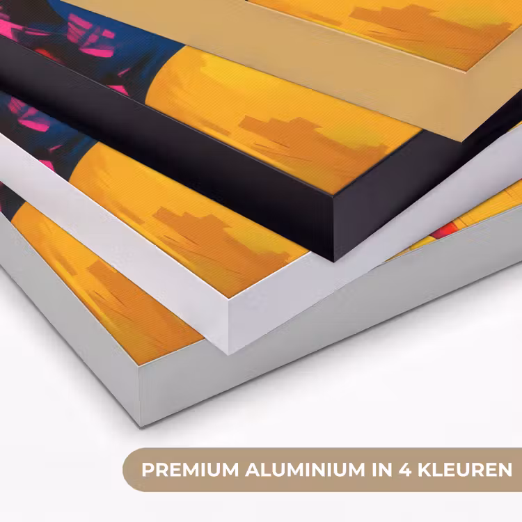 Zonnebril - Roze - Vrouw - Rietje Textielframe zwart klein -USP_kleurenNL