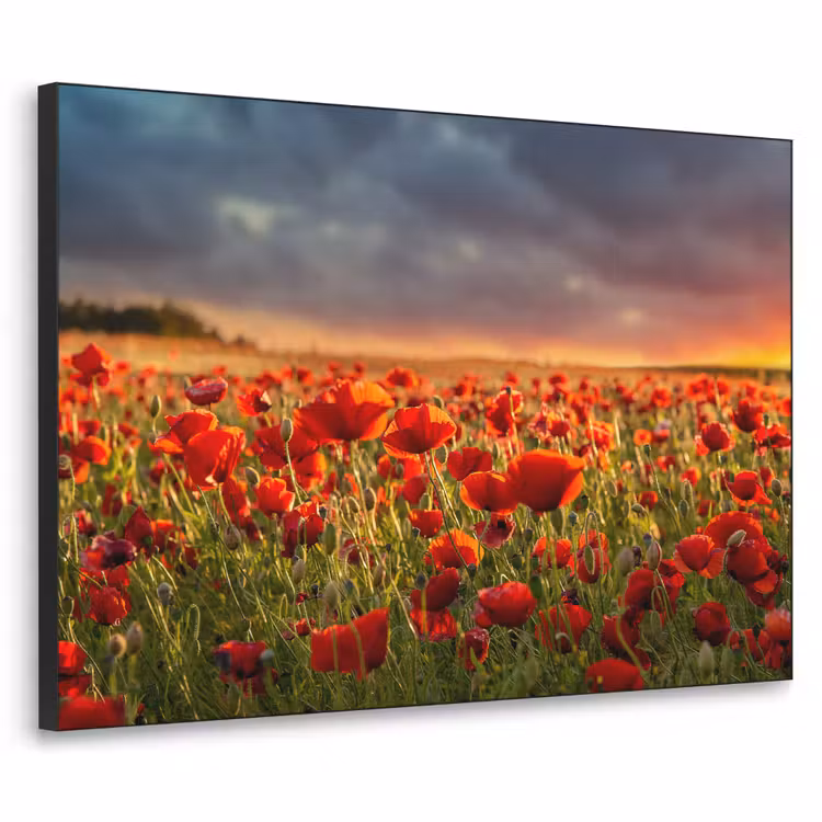 Zonsondergang - Klaprozen - Rood - Bloemen - Veld - Natuur Textielframe zwart klein -3d