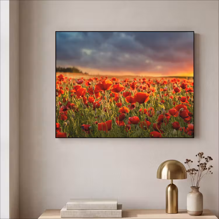 Zonsondergang - Klaprozen - Rood - Bloemen - Veld - Natuur Textielframe zwart klein -sfeer2