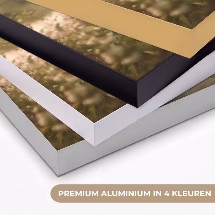 Zwaan - Bloemen - Natuur Textielframe zwart klein -USP_kleurenNL