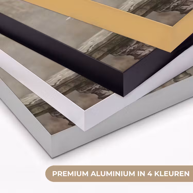Zwaan - Elegant - Dieren - Wit Textielframe zwart klein -USP_kleurenNL