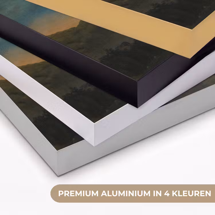 Zwaan - Oude meesters - Jan Asselijn Textielframe zwart klein -USP_kleurenNL
