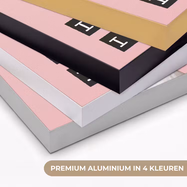 Zwaan - Vogel - Decoratie - Roze Textielframe zwart klein -USP_kleurenNL