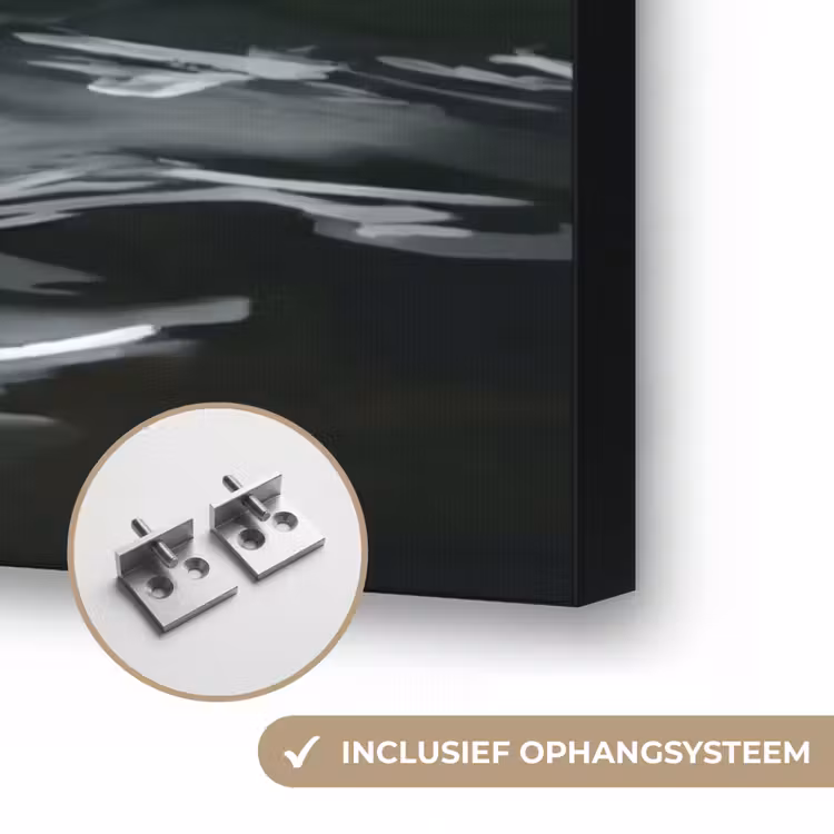Zwaan - Water - Natuur - Realistisch - Wit Textielframe zwart klein -USP_ophangsysteemNL