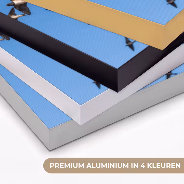 Zwaluwen - Vliegen - Blauw Textielframe zwart klein -USP_kleurenNL