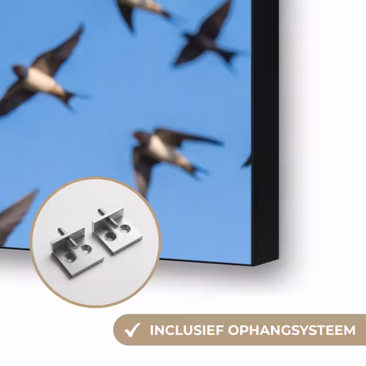 Zwaluwen - Vliegen - Blauw Textielframe zwart klein -USP_ophangsysteemNL