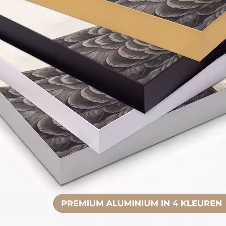 Zwanen - Hartvorm - Dieren Textielframe zwart klein -USP_kleurenNL