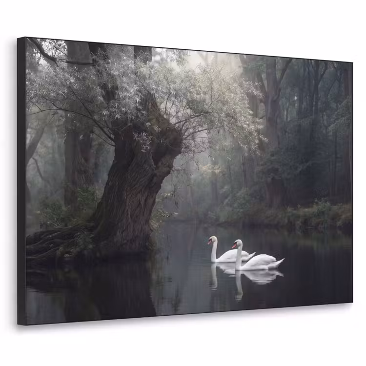 Zwanen - Rivier - Bos Textielframe zwart klein -3d